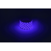 Лента светодиодная LS2835 -4.8-60-12-B-IP65-1 year-5m син. (уп.5м) Эра Б0059900