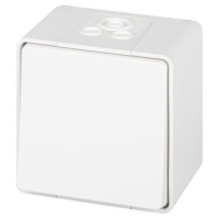 Выключатель Эксперт 11-1501-01 IP55 10АХ-250В ОУ бел. Эра Б0063250