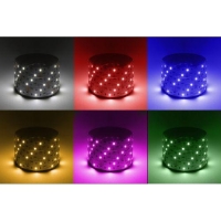 Лента светодиодная LS5050 -14.4-60-12-RGB+W(6500)-IP20-1 year-5m RGB+холод. бел. (уп.5м) Эра Б0059911