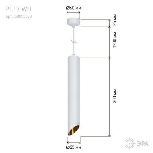 Светильник подвесной (подвес) PL 17 WH MR16/GU10 потолочный цилиндр бел. ЭРА Б0055580