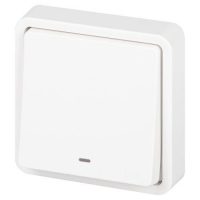 Выключатель Эксперт 11-1522-01 с подсветкой IP55 10АХ-250В СУ бел. Эра Б0063279