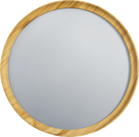 Светильник светодиодный 93 458 NLF-C-024-02 NAVIGATOR 93458