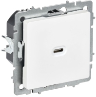 Розетка СП BRITE РЮ12-1-БрАБ USB C 65Вт высокоскор. заряд. арктич. бел. IEK BR-U13-065-K91