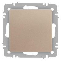 Переключатель 1-кл. СП Accent 6-103-04 10А IP20 250В AL/CU шампань Intro Б0063461