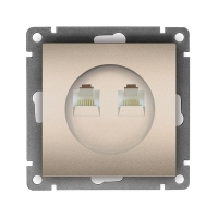 Розетка компьютерная 2-м СП Афина RJ45 кат.5E механизм шампань Universal A1086-Br