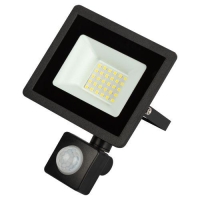 Прожектор светодиодный уличный LPR-042-2-65K-030 30Вт 6500К 2400лм IP44 регулируемый ИК датчик Эра Б0064234