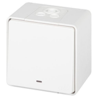 Выключатель Эксперт 11-1502-01 с подсветкой IP55 10АХ-250В ОУ бел. Эра Б0063305