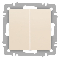 Выключатель 2-кл. СП Accent 6-104-02 10А IP20 250В AL/CU сл. кость Intro Б0063482