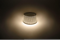 Лента светодиодная LS2835 -14.4-180-12-3000K-IP20-1 year-5m тепл. бел. (уп.5м) Эра Б0059903