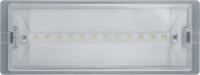 Светильник светодиодный 95 290 NEF-19 6Вт IP65 100лм 220-240В аккум. LiFePO4 600mAh аварийно-эвакуационный Navigator 95290