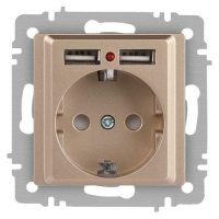 Розетка 1-м СП Accent 6-410-04 16А IP20 250В P+E Schuko + 2хUSB защ. шторки шампань Intro Б0063696