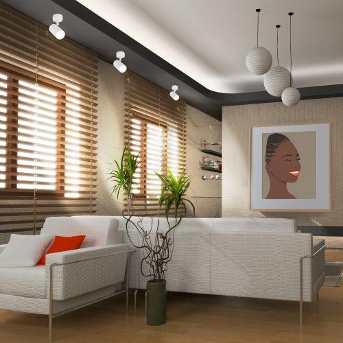 Светильник OL35 WH MR16 GU10 IP20 настенно-потолочный спот бел. хром ЭРА Б0056363