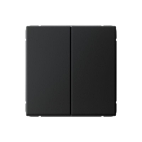 Выключатель 2-кл. ArtGallery 10AX быстрозажим. клем. механизм карбон SE GAL001051S