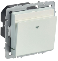 Выключатель карточный BRITE 30А ВС10-1-8-БрЖ механизм жемчуж. IEK BR-V11-0-10-K36