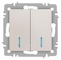 Выключатель 2-кл. СП Accent 6-105-06 10А IP20 250В с подсветкой AL/CU перламутр. Intro Б0063519