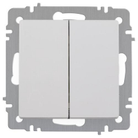 Выключатель 2-кл. СП Accent 6-104-01 10А IP20 250В AL/CU бел. Intro Б0063452