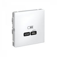 Розетка USB ArtGallery тип C 65Вт QC PD высокоскор. ЗУ механизм бел. SE GAL000127