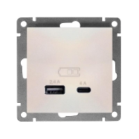 Розетка 2-м USB СП Афина тип А+С 5В 1х2.4А 2х4А механизм жемчуж. Universal А0059-OBr