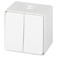 Переключатель Эксперт 11-1506-01 двойн. IP55 10АХ-250В ОУ бел. Эра Б0063295