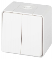 Выключатель Эксперт 11-1504-01 двойн. IP55 10АХ-250В ОУ бел. Эра Б0063257