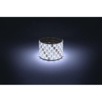 Лента светодиодная LS5050 -14.4-60-12-6500K-IP65-1 year-5m холод. бел. (уп.5м) Эра Б0059914