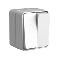 Выключатель 2-кл. ОП AtlasDesign PROFI IP54 10АХ сер. SE ATN543051