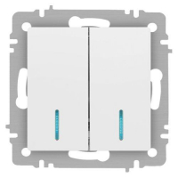 Выключатель 2-кл. СП Accent 6-105-01М 10А IP20 250В с подсветкой AL/CU бел. матов. Intro Б0063507