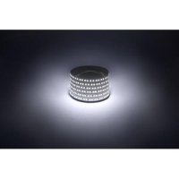 Лента светодиодная LS2835 -14.4-180-12-6500K-IP20-1 year-5m холод. бел. (уп.5м) Эра Б0059905