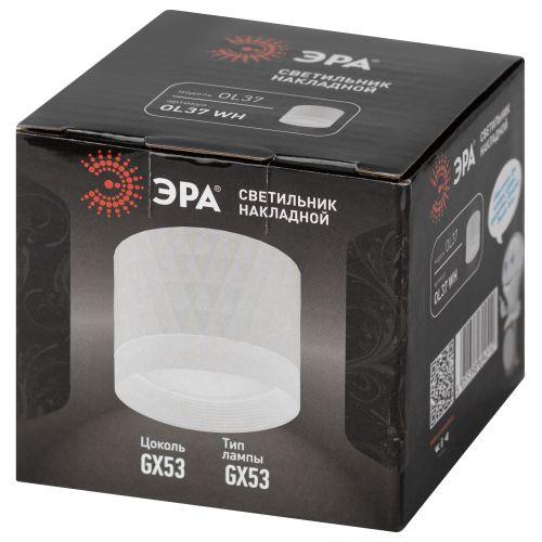 Светильник OL37 WH GX53 IP20 настенно-потолочный спот бел. ЭРА Б0056385