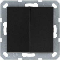 Выключатель 2-кл. 10А IP20 механизм антрацит Jasmart G3023B