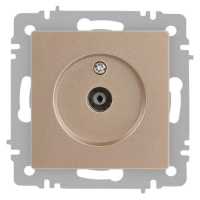 Розетка телевизионная одиночная TV СП Accent 6-301-04 IP20 шампань Intro Б0063609