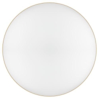 Светильник светодиодный Relict 48 Pult SPB-6-60-RC MG 60Вт 3000-6500К потолочный с ДУ золото ЭРА Б0059498