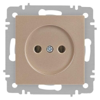 Розетка 1-м СП Accent 6-201-04 16А IP20 250В 2P шампань Intro Б0063663