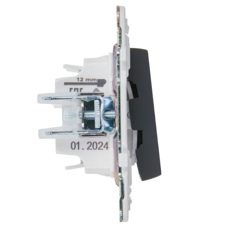 Выключатель 2-кл. SKANDY 10А SK-V09G с индикацией графит IEK SK-V20-1-10-K53