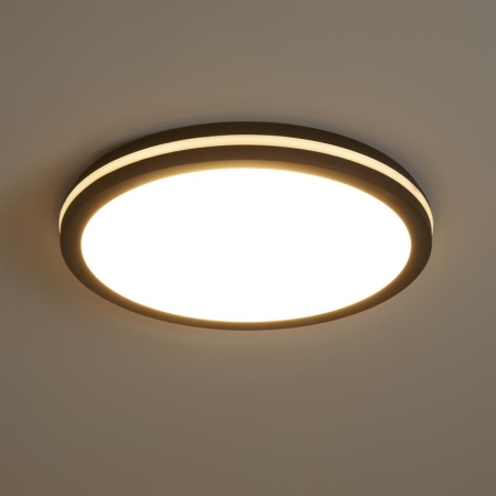 Светильник Rua 40Вт IP65 потолочн. Freya FR6160CL-L40B