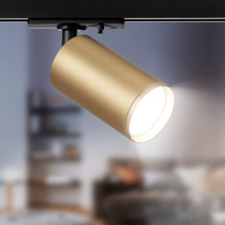 Светильник трековый 1ф TR39-GU10 MG под лампу MR16 золото Эра Б0053312