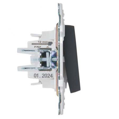 Выключатель 1-кл. SKANDY 10А SK-V07G с индикацией графит IEK SK-V10-1-10-K53