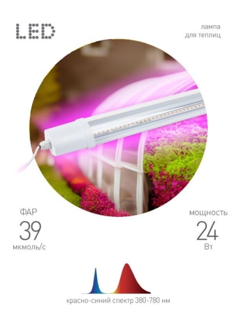 Светильник светодиодный FITO-24W-RB-N 24Вт для растений красн./син. спектр Эра Б0061425