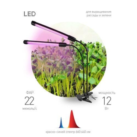 Светильник светодиодный FITO-20W-АLED-N 12Вт для растений красн./син. спектр на прищепке черн. Эра Б0053059