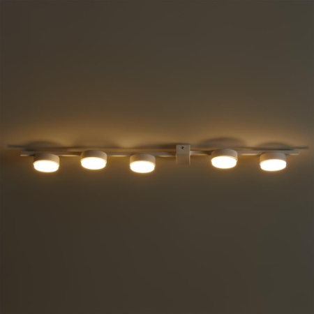 Светильник потолочный Lamia 5х40Вт GX53 IP20 Freya FR5182CL-05W