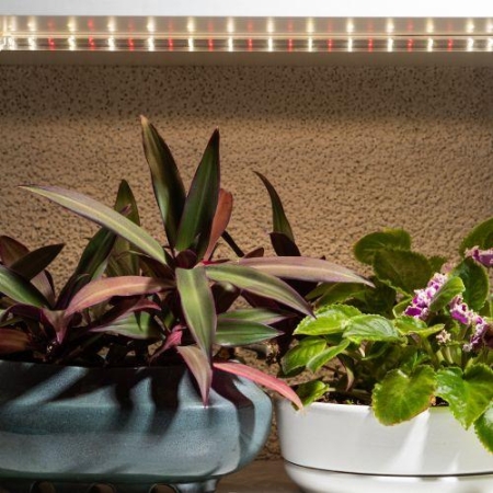 Светильник светодиодный для растений FITO-10W-Т5-Ra90-Slim 10Вт Т5 линейный полного спектра Эра Б0057400