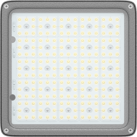 Светильник светодиодный INSEL LB/S LED 70 D120 Ex 5000К встраив. СТ 1334000440