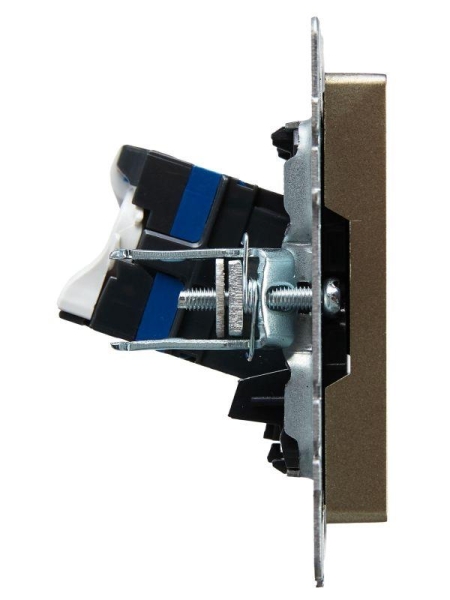 Розетка компьютерная СП RJ45 кат.6 BRITE РК11-БрШ механизм шампань IEK BR-K10-2-K37