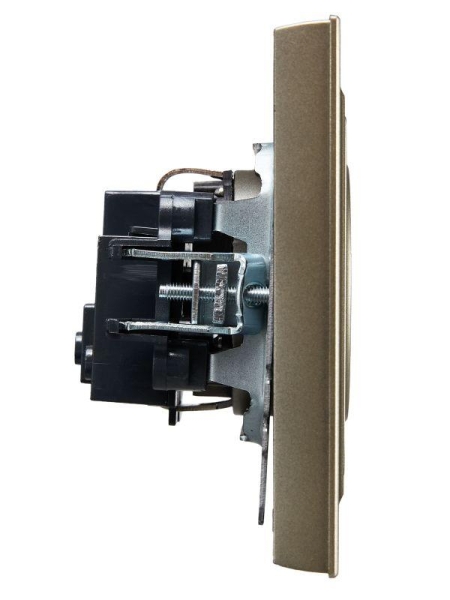 Розетка СП BRITE РСР10-1-0-БрШ 10А в сборе без заземл. без защ. шторок шампань IEK BR-R10-10-K37-F