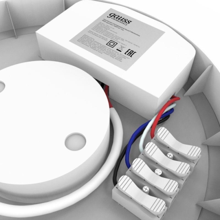 Светильник светодиодный Elementary 12Вт 4000К IP54 1080лм d205х65мм ДБП круг настенно-потолочный с БАП GAUSS 126411212A