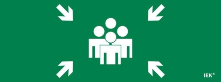 Этикетка самоклеящаяся 350х130мм "Место сбора" IEK LPC10-1-35-13-MSTS