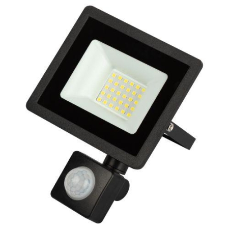 Прожектор светодиодный уличный LPR-042-2-65K-030 30Вт 6500К 2400лм IP44 регулируемый ИК датчик Эра Б0064234