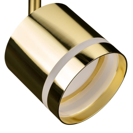 Светильник трековый ARTLINE поворотный 85х85х80мм GX53 230В алюм./пластик. 4кв.м зол. Ritter 59868 2