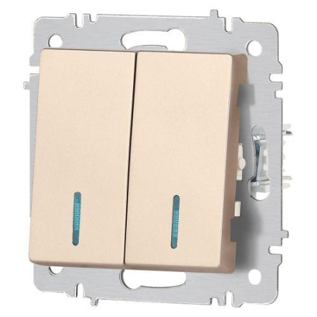 Выключатель 2-кл. СП Accent 6-105-04 10А IP20 250В с подсветкой AL/CU шампань Intro Б0063513