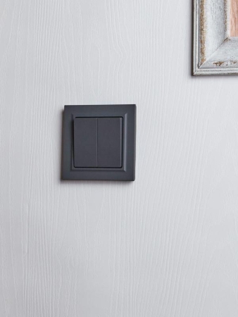 Выключатель 2-кл. СП BRITE ВСР10-2-0-БрГ 10А в сборе графит IEK BR-V20-0-10-K53-F